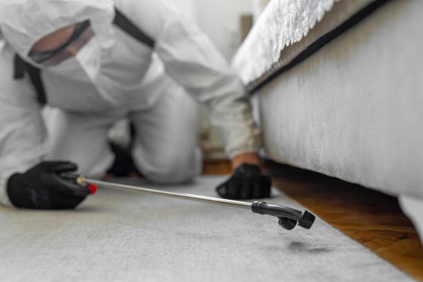Professional Mosquito Control technician working in Yuba County County, CA
